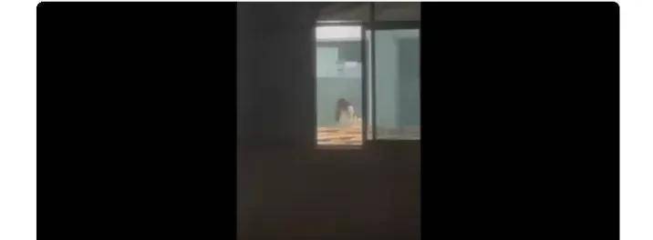 点击图片看原样大小图片